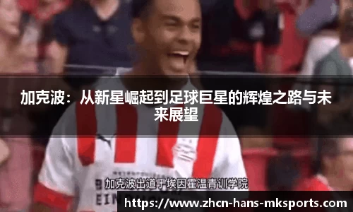 mk体育官网